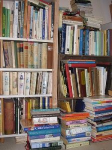 photo of books on bookshelves for post options for publishing your book
