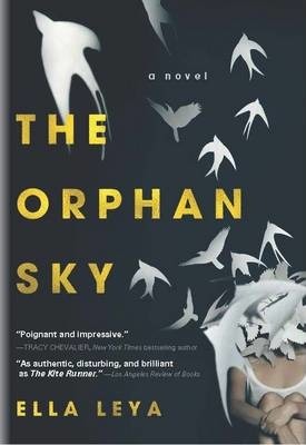 book cover of the orphan sky