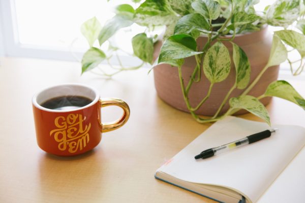 Pot plant, notebook and mug - Staying Motivated When Writing